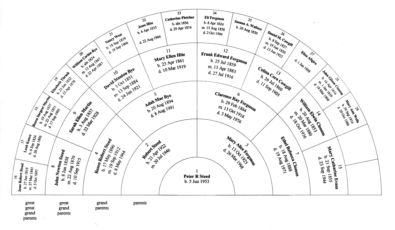 Genealogy Fan Chart 5 Generations